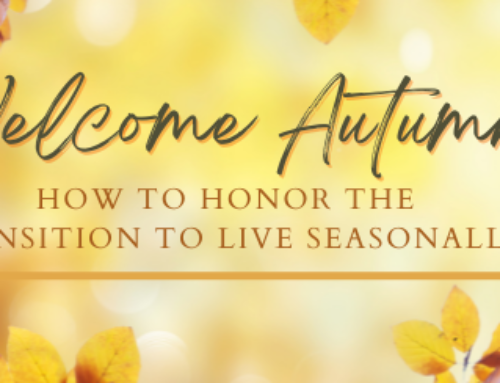 Living Seasonally: Honoring the Transition to Fall